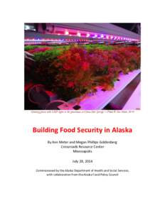 Growing greens with LED lights in the greenhouse at Chena Hot Springs —Photo © Ken Meter, 2014  	
   Building	
  Food	
  Security	
  in	
  Alaska	
   	
  