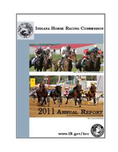 11 Annual Report book.pmd