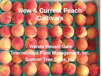New & Current Peach Cultivars Wanda Heuser Gale International Plant Management, Inc. Summit Tree Sales, Inc.