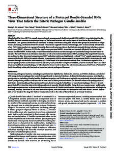 Three-Dimensional Structure of a Protozoal Double-Stranded RNA Virus That Infects the Enteric Pathogen Giardia lamblia Mandy E. W. Janssen,a Yuko Takagi,c* Kristin N. Parent,a* Giovanni Cardone,a Max L. Nibert,c Timothy 
