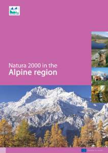 Alpine marmot / Alpine / Apennine Mountains / Natura / Pyrenees / Carpathian Mountains / Alpine tundra / Physical geography / Geography / Alps