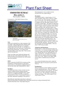 Plant Fact Sheet SMOOTH SUMAC Rhus glabra L. Plant Symbol = RHGL Contributed by: USDA NRCS Northeast Plant Materials Program