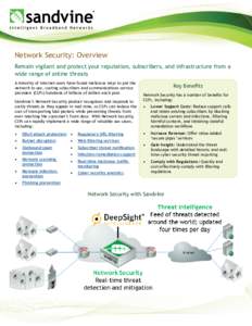 Network Security: Overview Remain vigilant and protect your reputation, subscribers, and infrastructure from a wide range of online threats A minority of internet users have found malicious ways to put the network to use