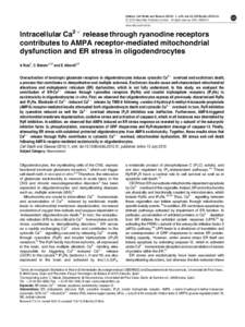 Intracellular Ca2&plus; release through ryanodine receptors contributes to AMPA receptor-mediated mitochondrial dysfunction and ER stress in oligodendrocytes