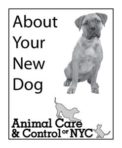 About Your New Dog  Bringing Your New Pet Home
