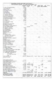 PROVISIONAL BUDGET LAKE COUNTY, SOUTH DAKOTA FOR THE YEAR OF JANUARY I, 2OII THROUGH DECEMBER GENERAL  COMMTSSTONERS