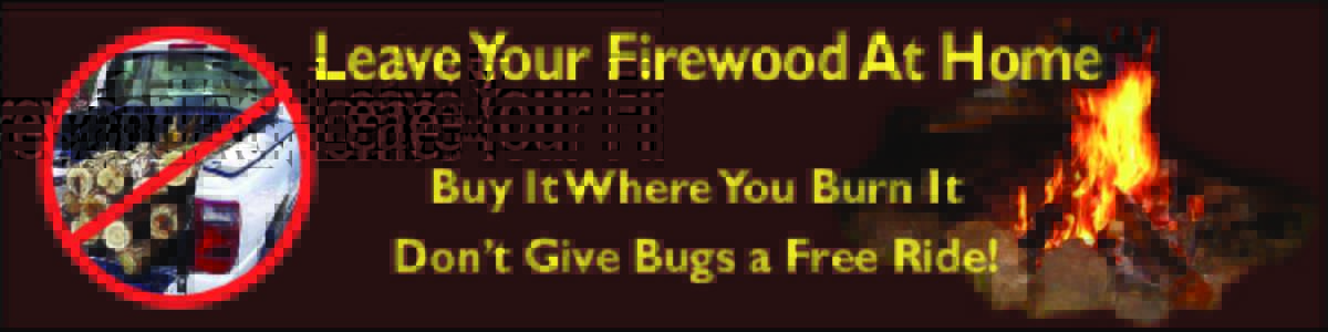 Leave Your Firewood at Home, Buy It Where You Burn It