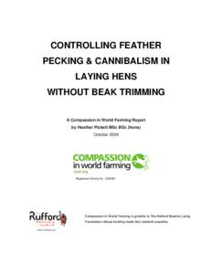 Controlling Feather Pecking and Cannibalism in Laying Hens without Beak Trimming