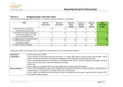 Reporting format for final scoring Process 1: Bringing people in the same space  Score each step: 0 (not applicable); 1 (started); 2 (on-going); 3 (nearly completed); 4 (completed)