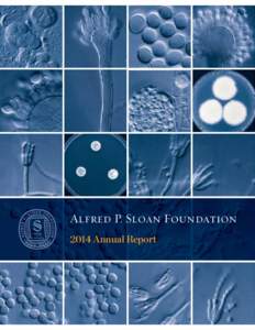 Alfred P. Sloan Foundation 2014 Annual Report alfred p. sloan foundation  $  2014 annual report  Contents