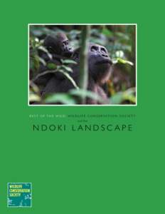 Biology / Mbeli Bai / Bushmeat / Apes / Odzala National Park / Congo / Aka people / Lake Télé Community Reserve / Gorilla / Africa / Geography of the Republic of the Congo / Nouabalé-Ndoki National Park
