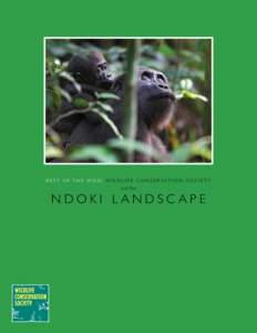 B E S T O F T H E W I L D : wildlife c o n se r v a tio n so c iet y and the n do k i l a n ds c a p e  B E S T O F T H E W I L D : wildlife c o n se r v a tio n so c iet y