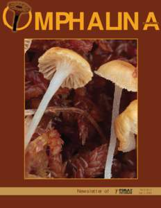 Omphalina / Tricholomataceae / Psychoactive fungi / North American Mycological Association / Rickenella / Lichen / Mycology / Mushroom / Psilocybin mushroom / Biology / Microbiology / Hymenochaetales