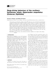 Deep-diving behaviour of the northern bottlenose whale, Hyperoodon ampullatus (Cetacea: Ziphiidae) Sascha K. Hooker and Robin W. Baird{ Biology Department, Dalhousie University, Halifax, Nova Scotia, Canada B3H 4J1 (shoo