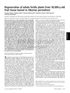 Regeneration of whole fertile plants from 30,000-y-old fruit tissue buried in Siberian permafrost Svetlana Yashinaa, Stanislav Gubinb, Stanislav Maksimovichb, Alexandra Yashinaa, Edith Gakhovaa, and David Gilichinskyb,1 