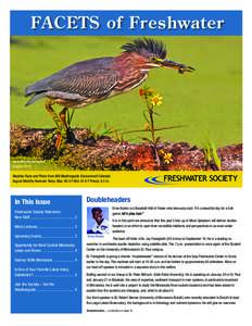 FACETS of Freshwater  Green Heron By Don Specht August 2014 Weather Facts and Photo from MN Weatherguide Environment Calendar