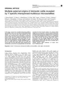 Multiple paternal origins of domestic cattle revealed by Y-specific interspersed multilocus microsatellites