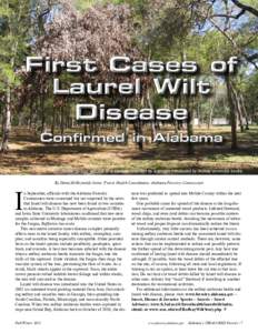 First Cases of Laurel Wilt Disease Confirmed in Alabama Partial canopy wilt due to a vascular infection by a fungus introduced by redbay ambrosia beetle