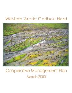 Western Arctic Caribou Herd  Cooperative Management Plan March 2003  This planning process and the Western Arctic Caribou Herd