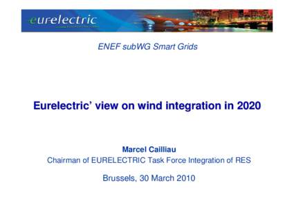 EURELECTRIC ENEF presentation final.ppt