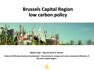 European Union / Urban studies and planning / Low-carbon economy / Energy Action Coalition / Sustainability / Climate change policy / Carbon dioxide / Energy economics / Environment / Covenant of Mayors