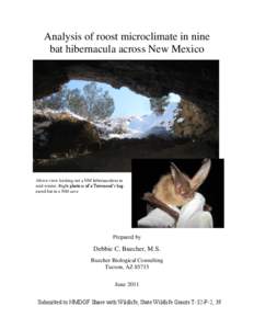 Caving / Little brown bat / Geomyces destructans / Bat / Geomyces / Hibernaculum / Vesper bat / Hibernation / Cave Myotis / Biology / Mouse-eared bats / White nose syndrome