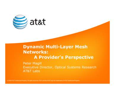 Dynamic Multi-Layer Mesh Networks: A Provider’s Perspective Peter Magill Executive Director, Optical Systems Research AT&T Labs