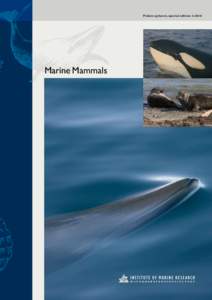 Fisken og havet, special edition 2 – 2010  Marine Mammals Fisken og havet, special edition[removed]