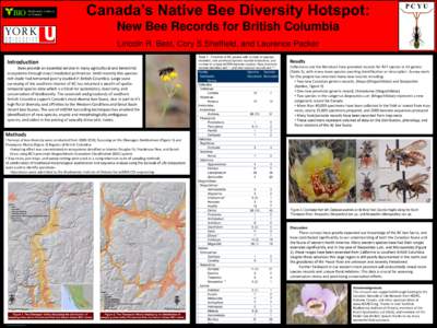 Canada’s Native Bee Diversity Hotspot: New Bee Records for British Columbia Lincoln R. Best, Cory S.Sheffield, and Laurence Packer Introduction Bees provide an essential service in many agricultural and terrestrial eco