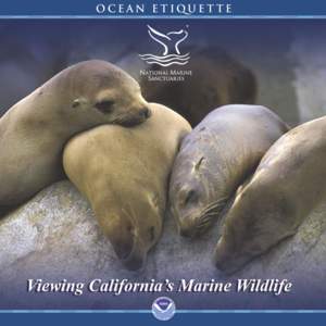 Ocean etiquette  Introduction The mission of NOAA’s National Marine Sanctuary Program is to serve as the trustee for the nation’s system of marine protected areas, to conserve, protect, and enhance their biodiversit