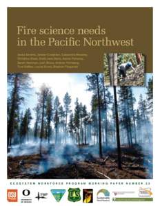 Wildfires / United States Forest Service / Fire-adapted communities / Fire ecology / Geographic information system / Natural resource management / Needs assessment / Forestry / Wildland fire suppression / Firefighting