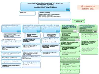 DIRECTION GÉNÉRALE DE LA RECHERCHE ET DE L’INNOVATION directeur général : Alain Beretz adjoint au directeur : Pierre Valla directrice de cabinet : Sylvane Casademont  Organigramme