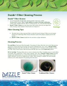 DazzleTM Filter Cleaning Process Dazzle™ Filter Cleanse: 1. An environmentally-friendly filter cleaning product. Non-toxic, readily biodegradable formula. The 1st in the industry to achieve EcoLogo certification. Clean