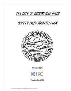 Safety Path Master Plan Report