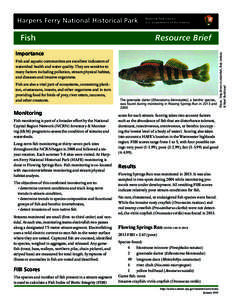 Harpers Ferry National Historical Park  Resource Brief Importance Fish and aquatic communities are excellent indicators of