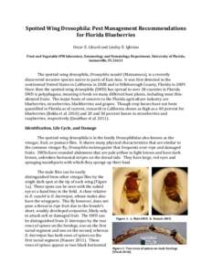 Spotted Wing Drosophila: Pest Management Recommendations for Florida Blueberries Oscar E. Liburd and Lindsy E. Iglesias Fruit and Vegetable IPM laboratory, Entomology and Nematology Department, University of Florida, Gai