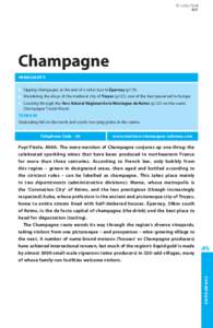 © Lonely Planet 117 Champagne Highlights 	 Sipping champagne at the end of a cellar tour in Épernay (p119)