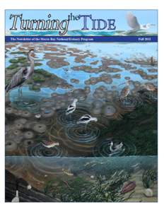 Turning TIDE the The Newsletter of the Morro Bay National Estuary Program	  Fall 2011