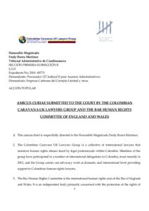 Honorable Magistrado Fredy Ibarra Martínez Tribunal Administrative de Cundinamarca SECCIÓN PRIMERA-SUBSECCIÓN B E.S.D Expediente No: 