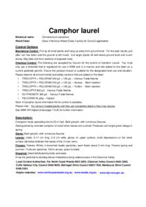 Camphor laurel Botanical name: Cinnamomum camphora  Weed Class:
