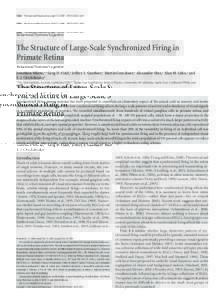 5022 • The Journal of Neuroscience, April 15, 2009 • 29(15):5022–5031  Behavioral/Systems/Cognitive The Structure of Large-Scale Synchronized Firing in Primate Retina