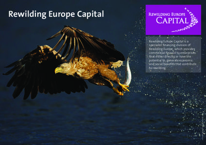 Rewilding Europe Capital  Rewilding Europe Capital