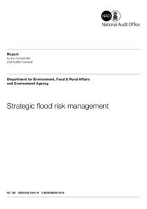 Strategic flood risk management (executive summary)