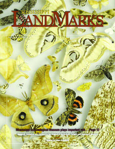 Volume 6, Number 3  SUMMER 2010 Mississippi Entomological Museum plays important role… Page 12 Research, Education and Outreach in the Division of Agriculture, Forestry and Veterinary Medicine