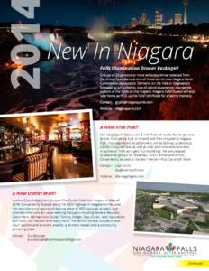 201  New In Niagara Falls Illumination Dinner Package!! Groups of 20 persons or more will enjoy dinner selected from the Group Tour Menu at one of these scenic view Niagara Parks