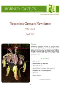 Flora of Borneo / Nepenthes / Robert Cantley / Taxonomy of Nepenthes / Nepenthes rajah / Flora / Biota / Botany