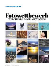 COOPZEITUNG ONLINE  Fotowettbewerb WELCHES BILD SOLL GEWINNEN?  98 Coopzeitung · Nr. 52 vom 21. Dezember 2015