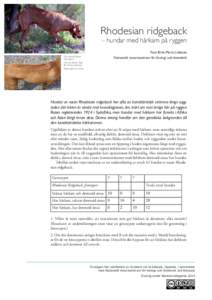 Rhodesian ridgeback  – hundar med hårkam på ryggen Text: Britt-Marie Lidesten Nationellt resurscentrum för biologi och bioteknik