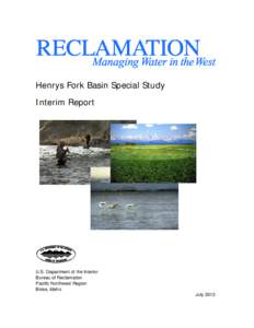 Henrys Fork Basin Special Study, Interim Report