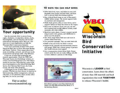 Common Loon/USFWS  10 Your opportunity Join the statewide effort to protect loons,